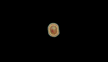 GIFs That Are Actually Worth Taking The Time To Watch GIFs That Are Actually Worth Taking The Time To Watch