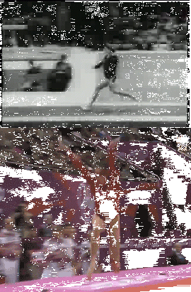 GIFs That Are Actually Worth Taking The Time To Watch GIFs That Are Actually Worth Taking The Time To Watch