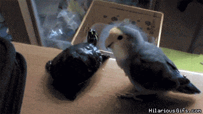 Friends you've got to stay away from Friends you've got to stay away from