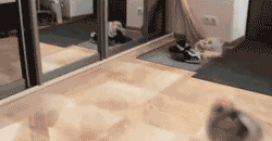 30 Dogs Who Failed So Hard They Won 30 Dogs Who Failed So Hard They Won