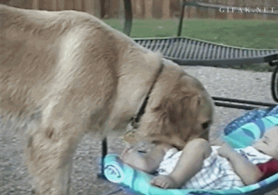 30 Dogs Who Failed So Hard They Won 30 Dogs Who Failed So Hard They Won