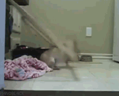 30 Dogs Who Failed So Hard They Won 30 Dogs Who Failed So Hard They Won