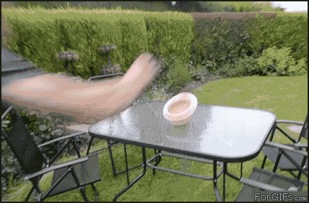 These People Perform Jaw Dropping Tricks These People Perform Jaw Dropping Tricks