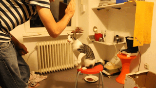 High-five fails High-five fails