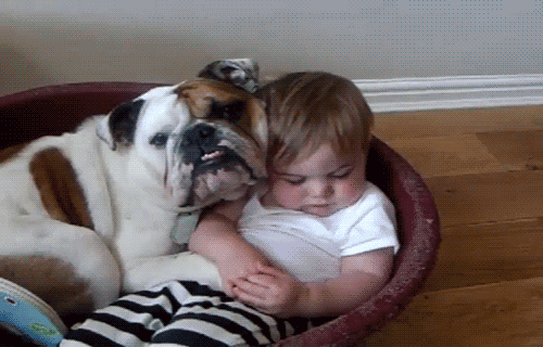 Animals Who've Had Enough Of The Kids In The Family Animals Who've Had Enough Of The Kids In The Family