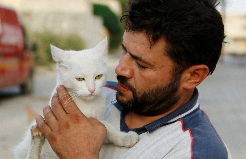 This Man's Daily Act Of Kindness To Cats In Syria Is Truly Incredible