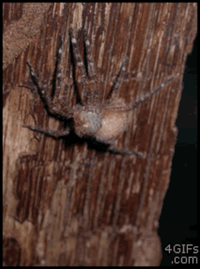 Can You Make It Through This Post Without Going NOPE? Can You Make It Through This Post Without Going NOPE?