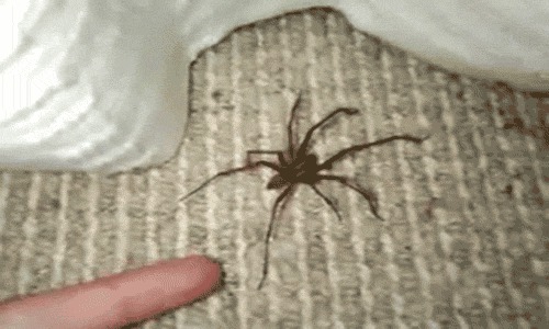 Can You Make It Through This Post Without Going NOPE?