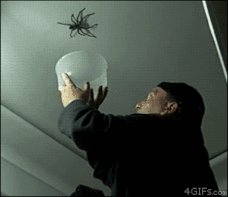 Can You Make It Through This Post Without Going NOPE? Can You Make It Through This Post Without Going NOPE?