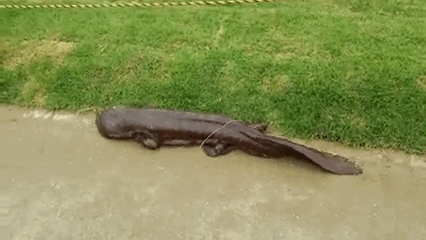Can You Make It Through This Post Without Going NOPE? Can You Make It Through This Post Without Going NOPE?
