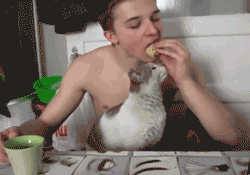 Cats Who Prove Why They Aren't Considered Man's Best Friend Cats Who Prove Why They Aren't Considered Man's Best Friend
