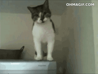 13 Clever Pets That Might Actually Be Smarter Than All Of Us. 13 Clever Pets That Might Actually Be Smarter Than All Of Us.