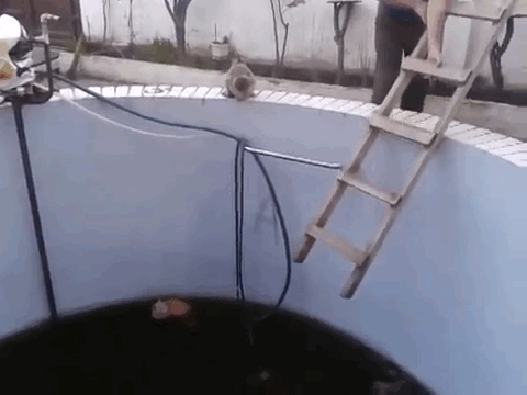 These 20 Gifs Present Your Cup Of Instant Karma For The Day These 20 Gifs Present Your Cup Of Instant Karma For The Day