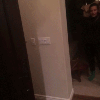 These 20 Gifs Present Your Cup Of Instant Karma For The Day These 20 Gifs Present Your Cup Of Instant Karma For The Day
