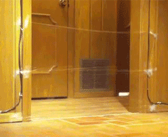Bored With Pranking Your Friends? Prank Your Cat, Instead Bored With Pranking Your Friends? Prank Your Cat, Instead