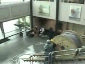 These People Are Strong Candidates For Darwin Awards These People Are Strong Candidates For Darwin Awards