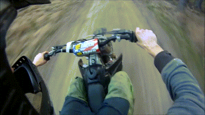 These People Are Strong Candidates For Darwin Awards These People Are Strong Candidates For Darwin Awards