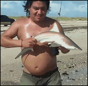 These People Are Strong Candidates For Darwin Awards These People Are Strong Candidates For Darwin Awards