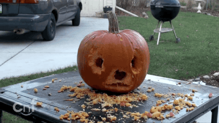 5 Steps To Carving A Pumpkin If You’re A Squirrel 5 Steps To Carving A Pumpkin If You’re A Squirrel