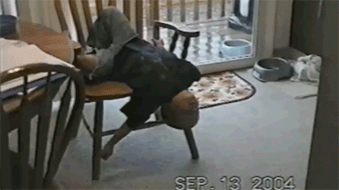 Sometimes, the Need to Nap is Just Too Strong to Resist Sometimes, the Need to Nap is Just Too Strong to Resist