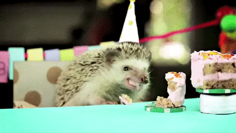 Watching Animals Chewing Is The Cutest Thing You Will See Today Watching Animals Chewing Is The Cutest Thing You Will See Today