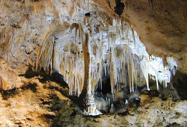 The Carlsbad Caverns Have Much More To Offer Than Stunning Stalactites
