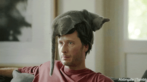17 Perfect And Adorable Uses For Your Cat 17 Perfect And Adorable Uses For Your Cat