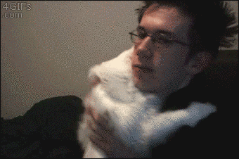 17 Perfect And Adorable Uses For Your Cat 17 Perfect And Adorable Uses For Your Cat