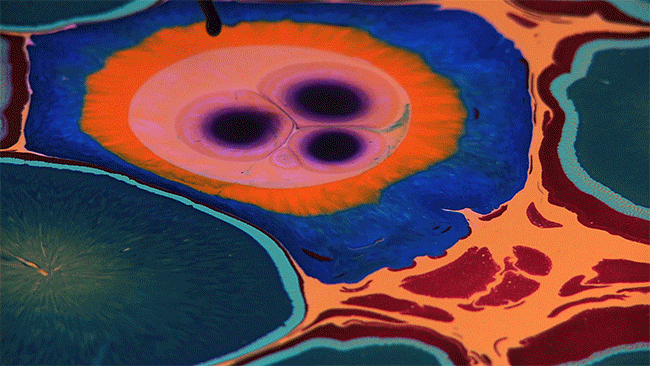 Artist Creates Psychedelic Art By Pouring Paint And Resin Artist Creates Psychedelic Art By Pouring Paint And Resin