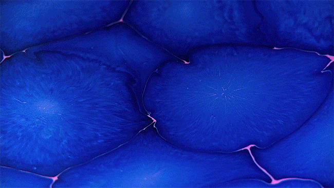 Artist Creates Psychedelic Art By Pouring Paint And Resin Artist Creates Psychedelic Art By Pouring Paint And Resin