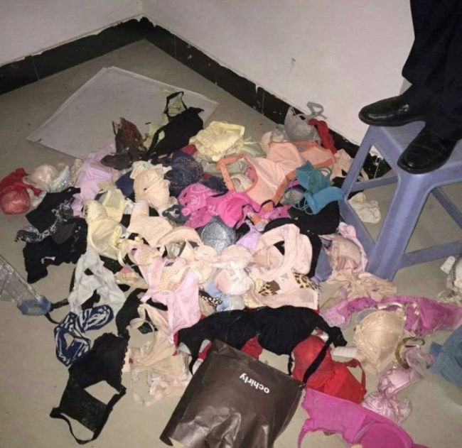 Prolific lingerie thief uncovered