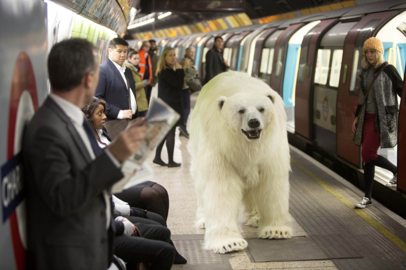 An Animatronic Polar Bear Visits the London Underground