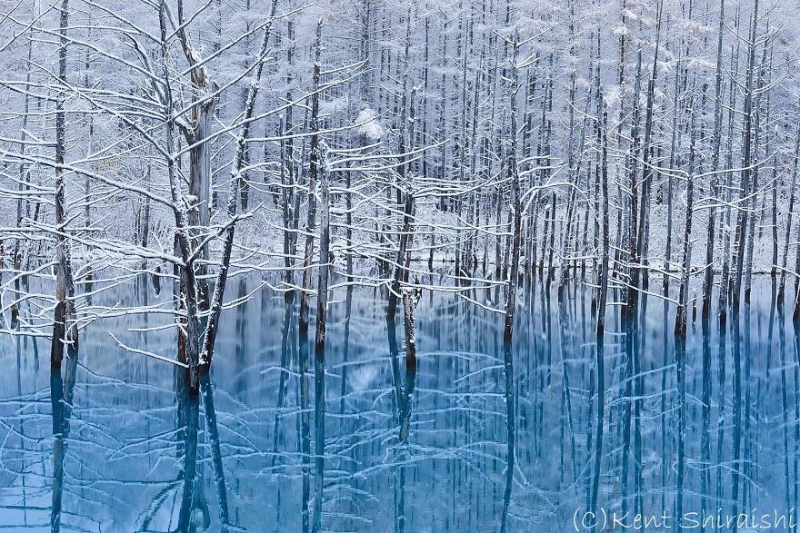 The Magnificent Pond in Hokkaido