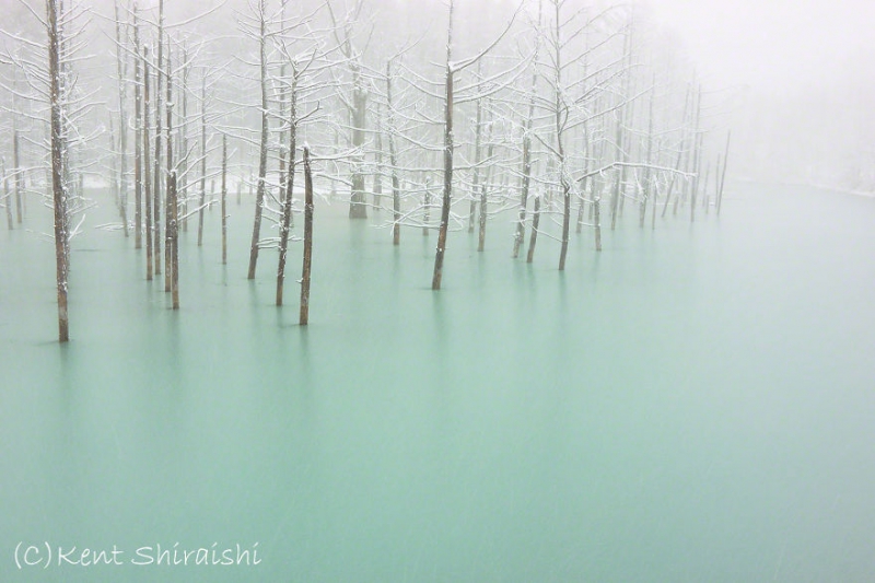 The Magnificent Pond in Hokkaido