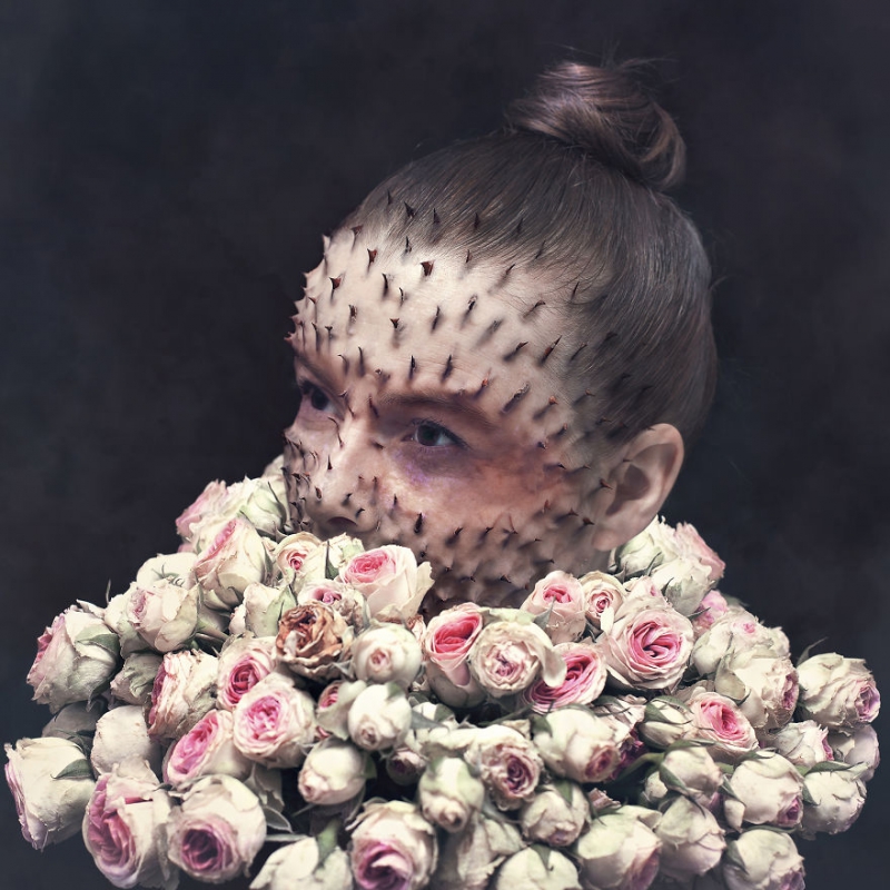 Treebeard: Portraits Of My Friends With Plants Growing From Their Head