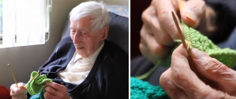 Australia’s Oldest Man Knits Tiny Sweaters For Injured Penguins