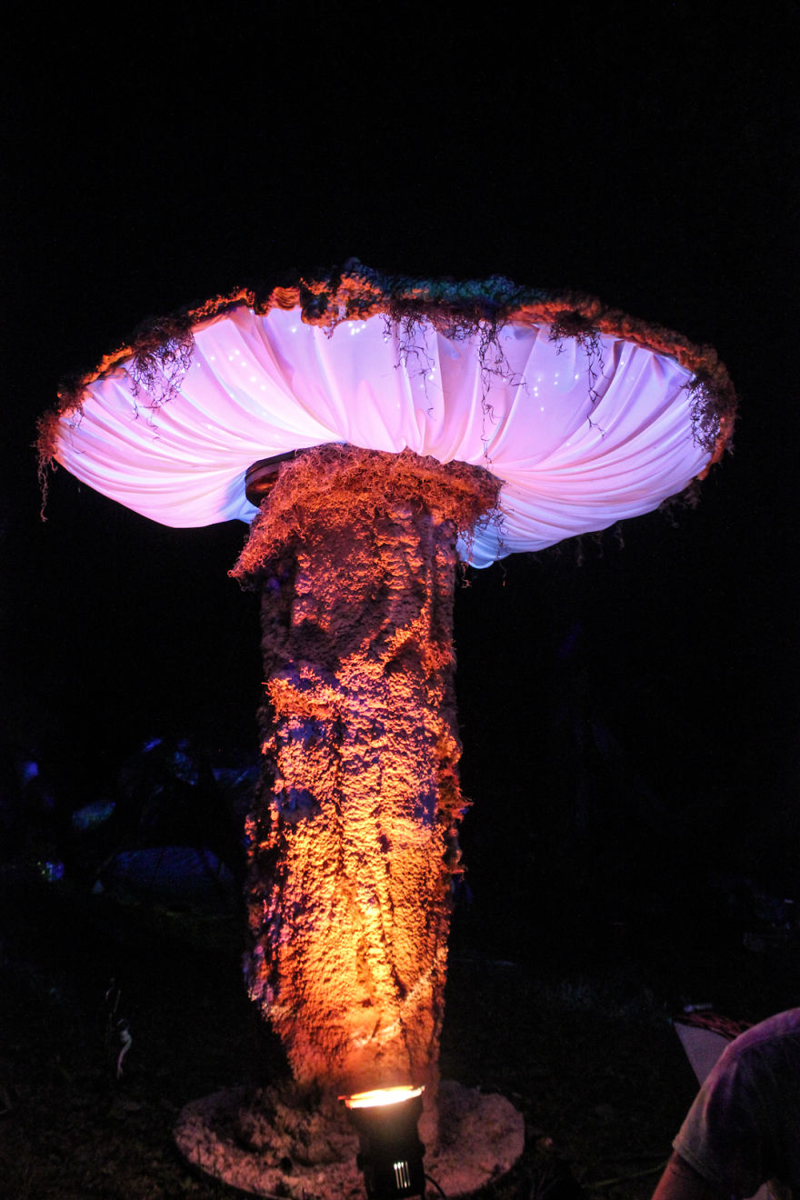 Giant Illuminated Mushrooms Brighten Up Every Place They Go