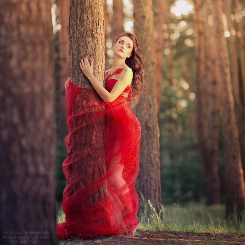 Fairy Tales Come To Life