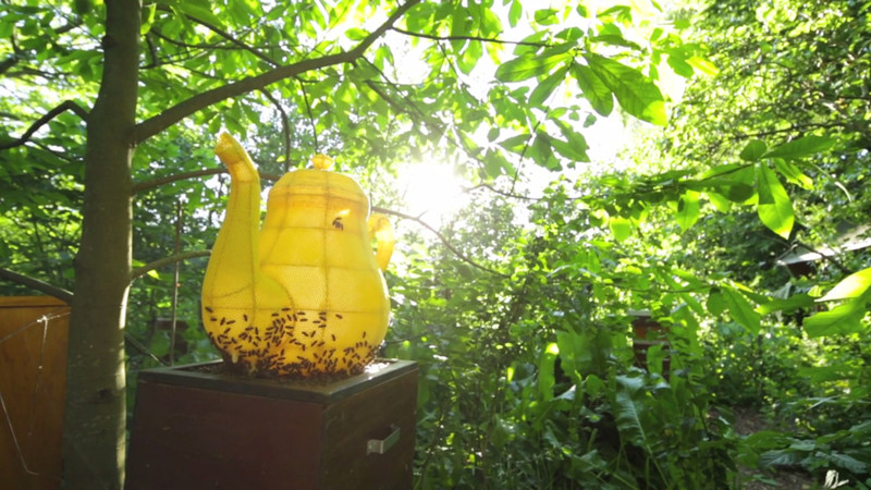 60,000 Bees Created The Most Beautiful Teapot You Will Ever See. 