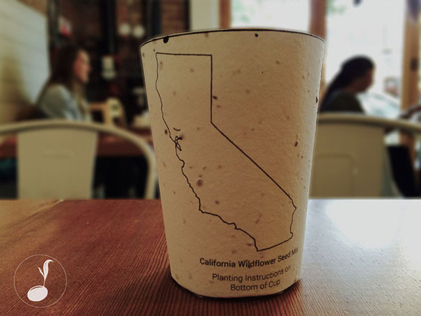 Biodegradable Coffee Cups Embedded With Seeds