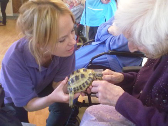 Tickling a tortoise
