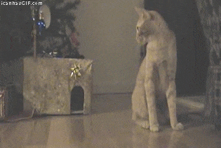 23 Cats Who Have Laziness Down To A Science  23 Cats Who Have Laziness Down To A Science