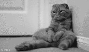 23 Cats Who Have Laziness Down To A Science  23 Cats Who Have Laziness Down To A Science