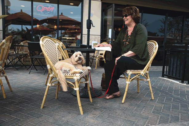 This hungry (and hairy) diner eating al fresco once again. This hungry (and hairy) diner eating al fresco once again.
