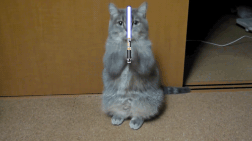 "The Force is strong with this one." "The Force is strong with this one."
