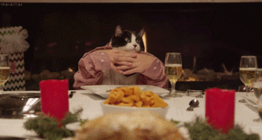 18. Let the cat invite everyone at the table – it knows how to be the master of the house 18. Let the cat invite everyone at the table – it knows how to be the master of the house