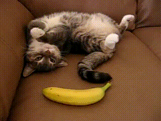 3. As well as the fruits – there shouldn’t be any surprises! 3. As well as the fruits – there shouldn’t be any surprises!