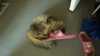 "Perfect fit!" "Perfect fit!"