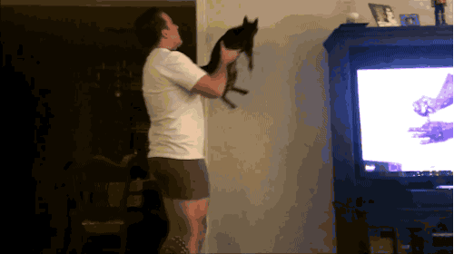 7. They find bugs in your apartment. 7. They find bugs in your apartment.