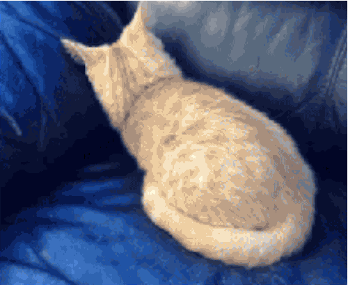 8. They're too good at hiding. 8. They're too good at hiding.